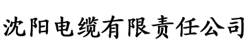 全球狼友的选择二维码电缆厂logo